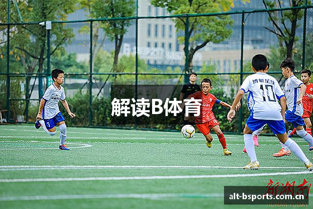 解读B体育
